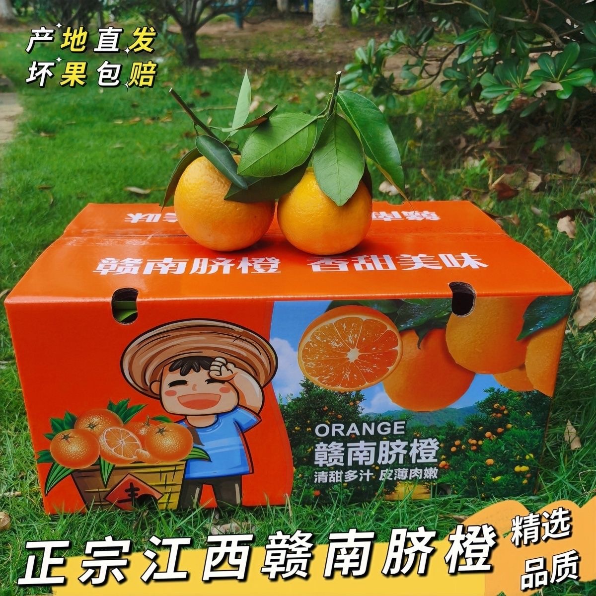 彩箱10斤正宗赣南脐橙新鲜果园直发橙子江西甜橙水果果冻鲜橙批发