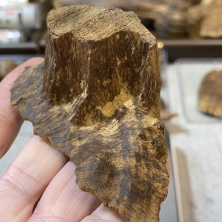 沉香沉香枕海南包头料