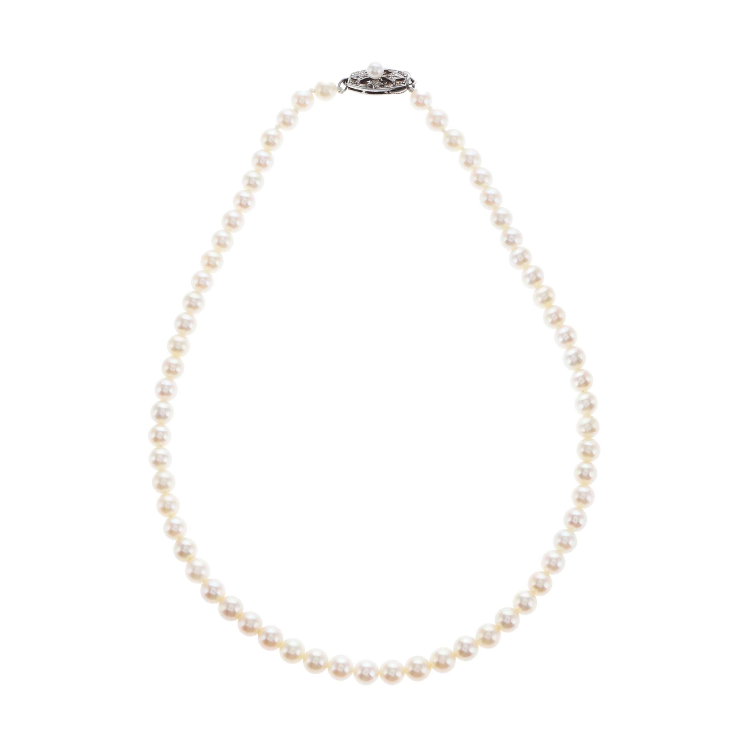 红布林/C1开箱/御木本/45159150/z/121505