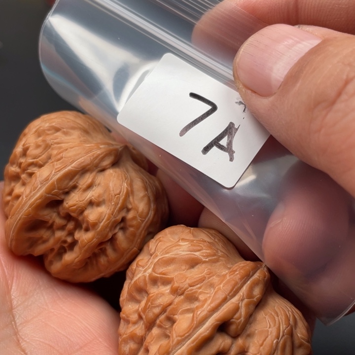 文玩核桃吊坠飞*ꪝ元宝43