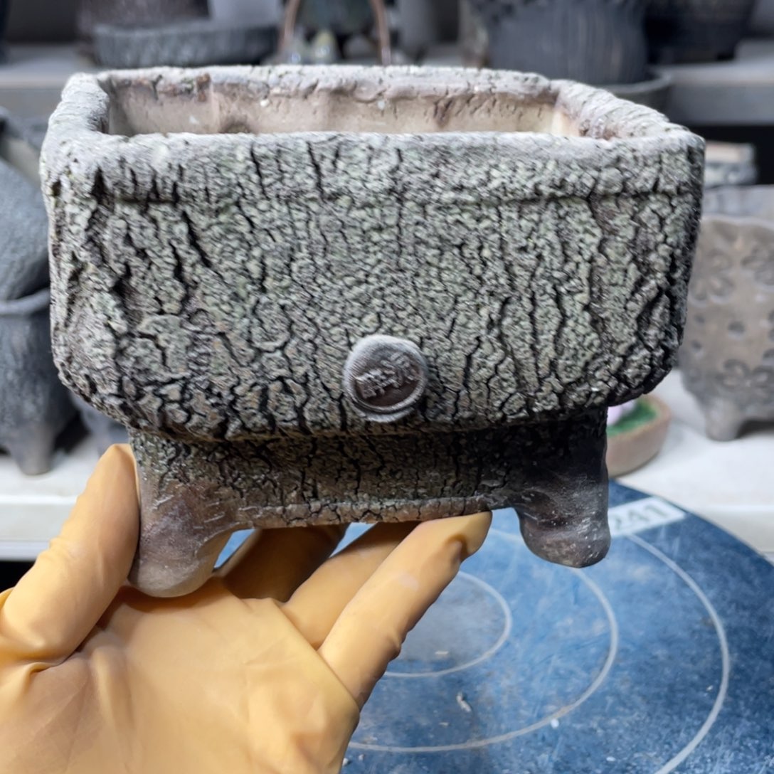 红陶一个人的时候就会