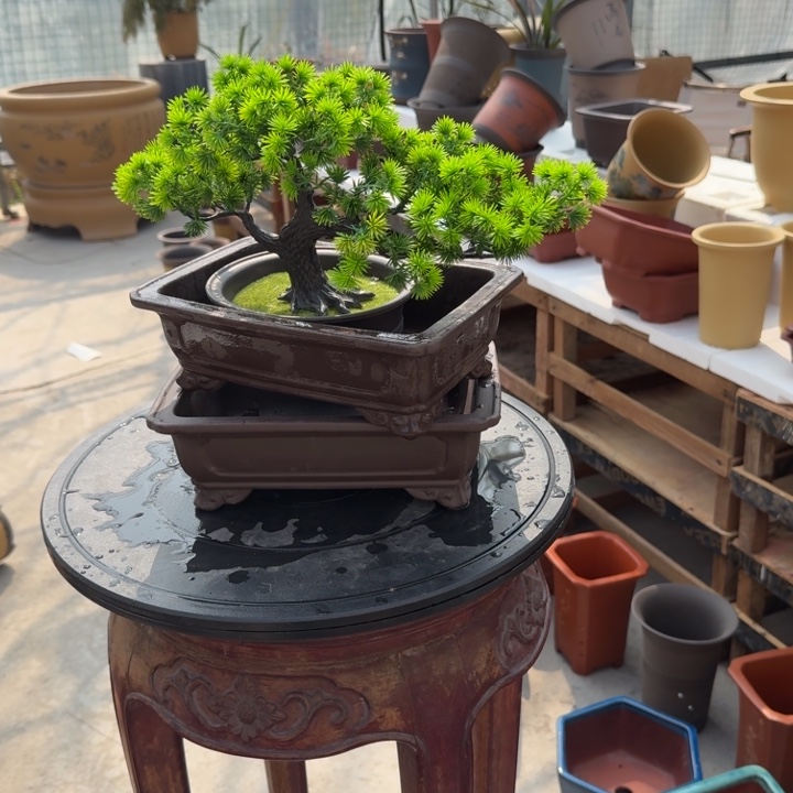 紫砂花盆紫砂花盆