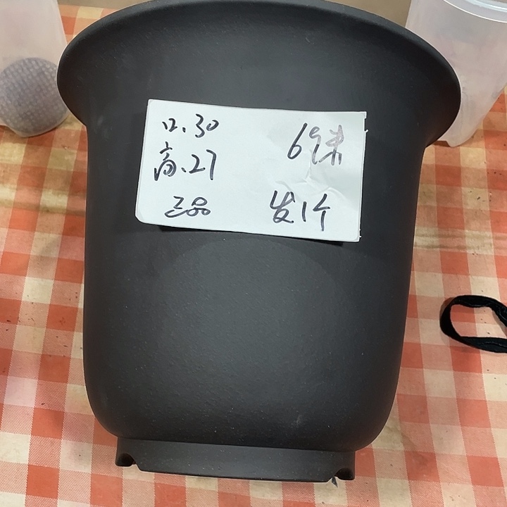 宜兴丁山张伟花盆