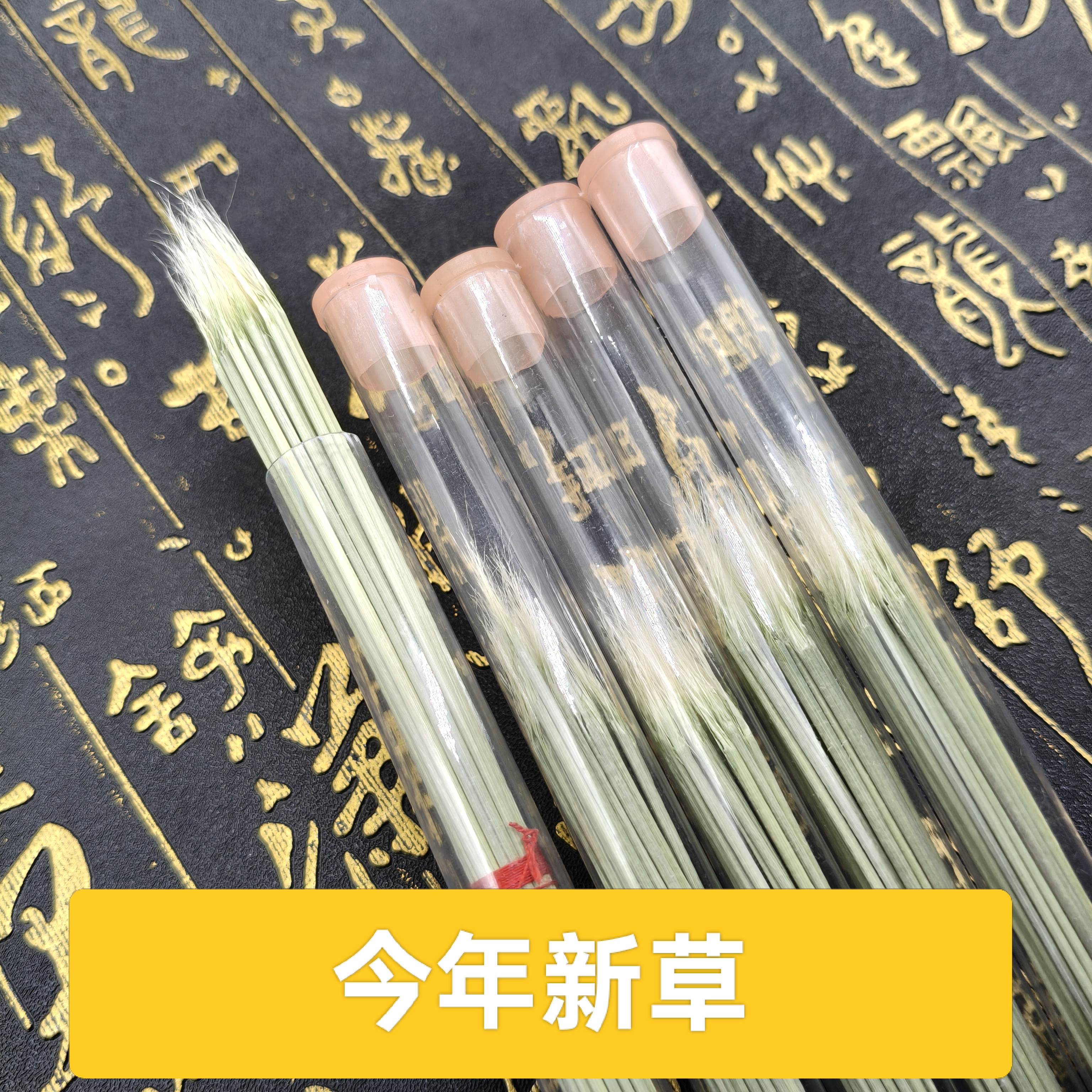 今年新青草蛐蛐芡草开牙草斗蟋蟀草蟋蟀用具用品