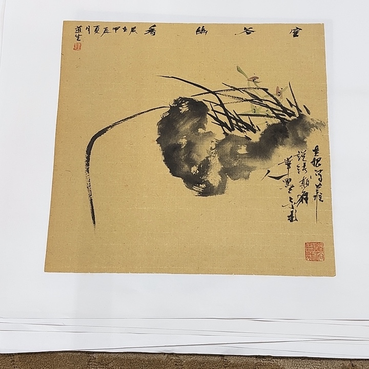 国画花鸟的翅膀和翅膀35.35