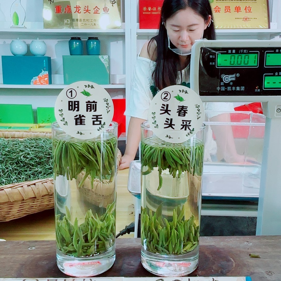 手工艺品玻璃陶瓷礼盒湄潭雀舌茶