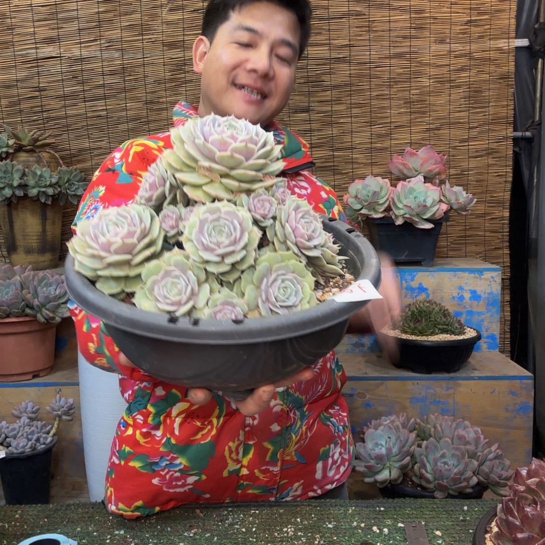 露娜琳一物一拍 28-5