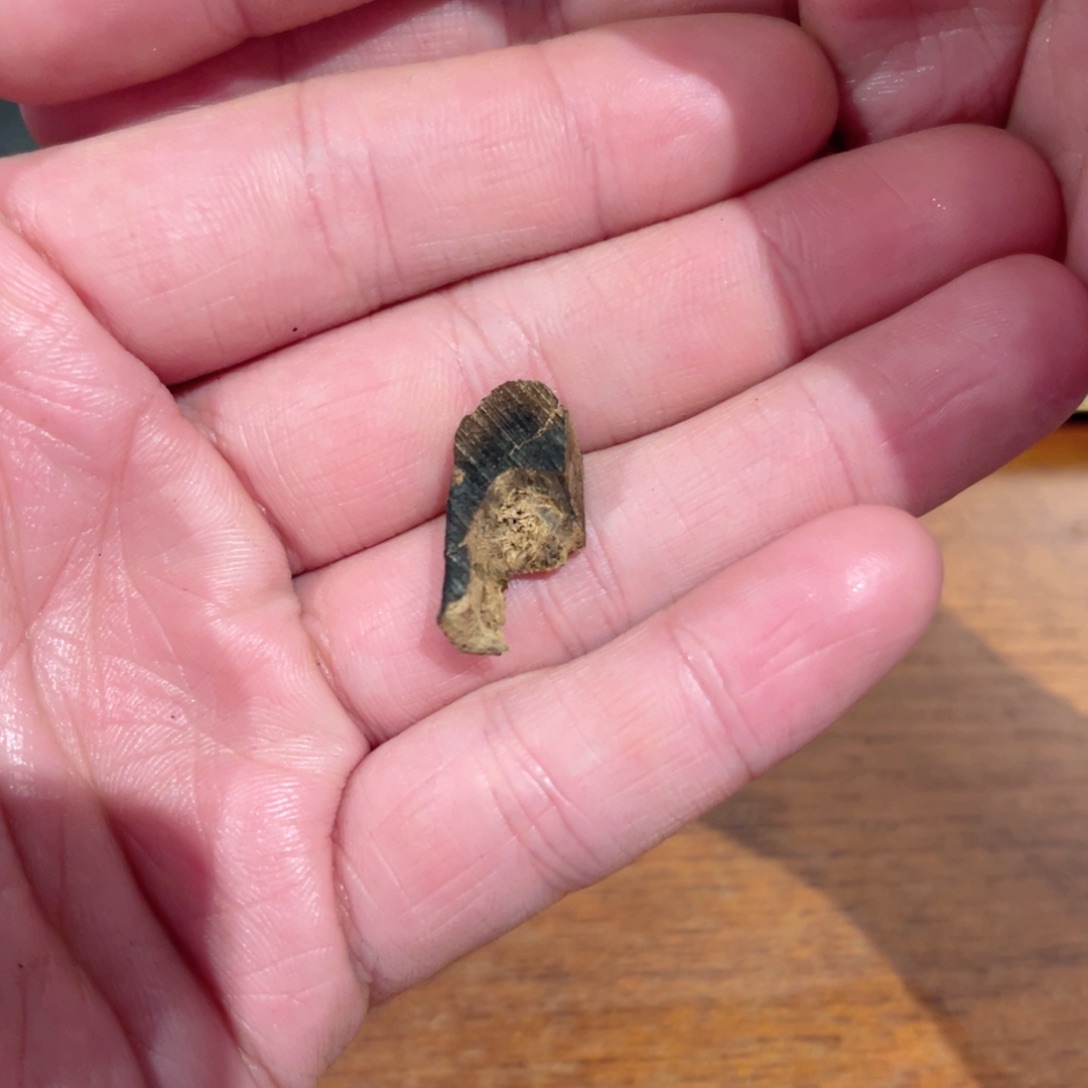 沉香木吊坠海南糖结沉水绿棋楠0.73g