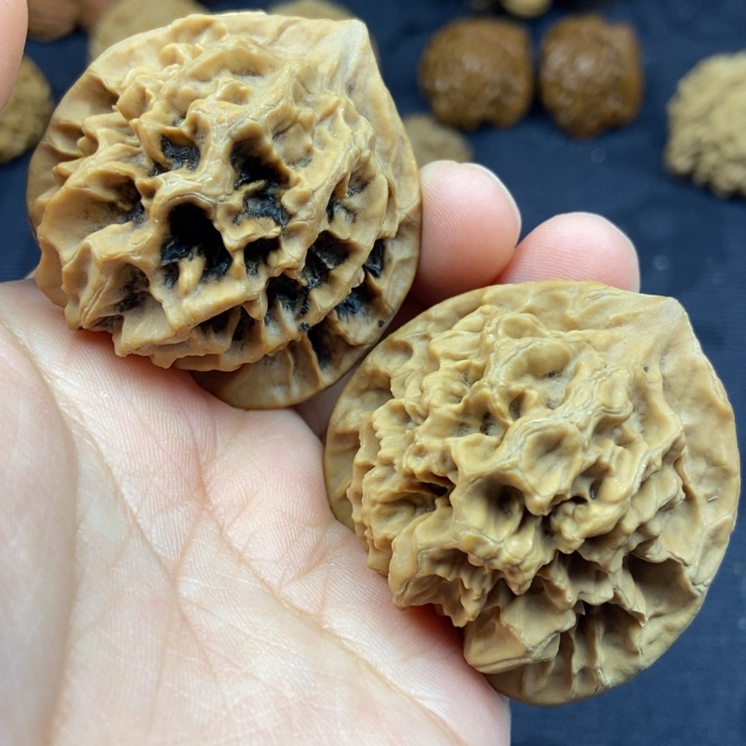 秦岭核桃帝王大花1号链接111111