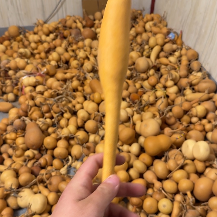 29号9.9福利价格不退不换2