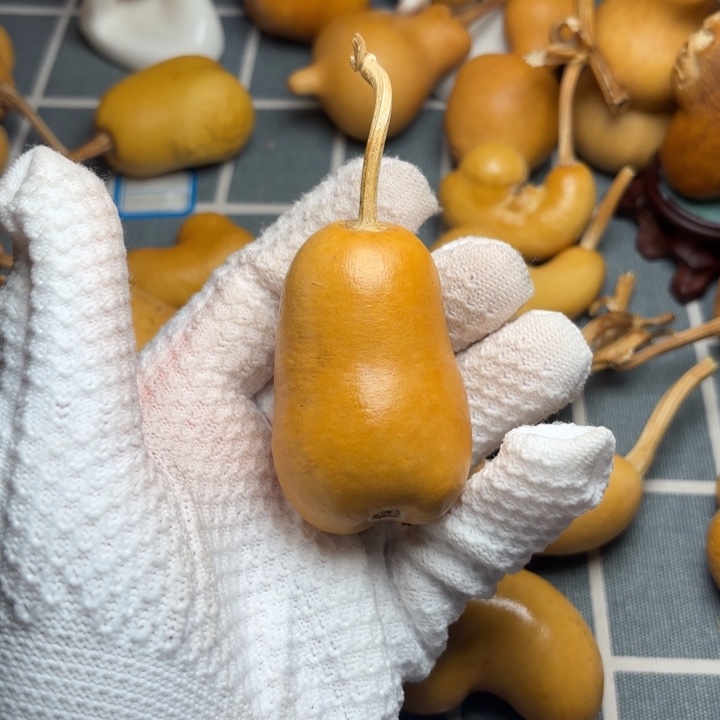 ╰***╯葫芦风裂霉66666666