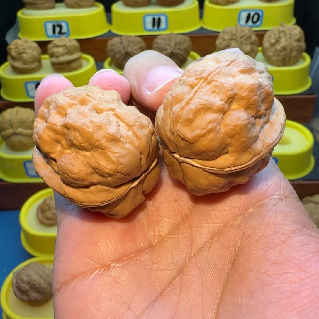 S***️把件桃核金蟾疙瘩包