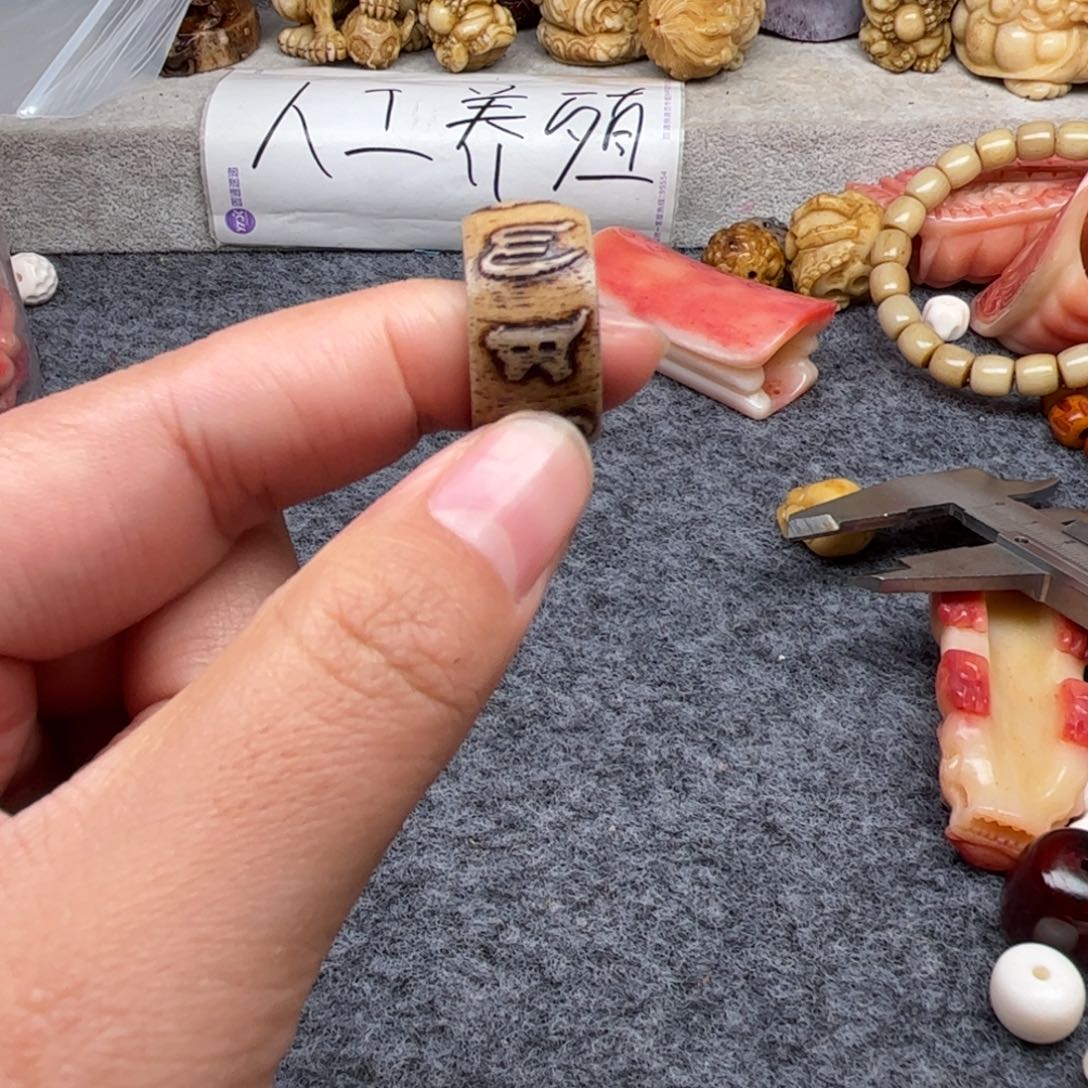 鹿骨其他人工养殖驼骨15