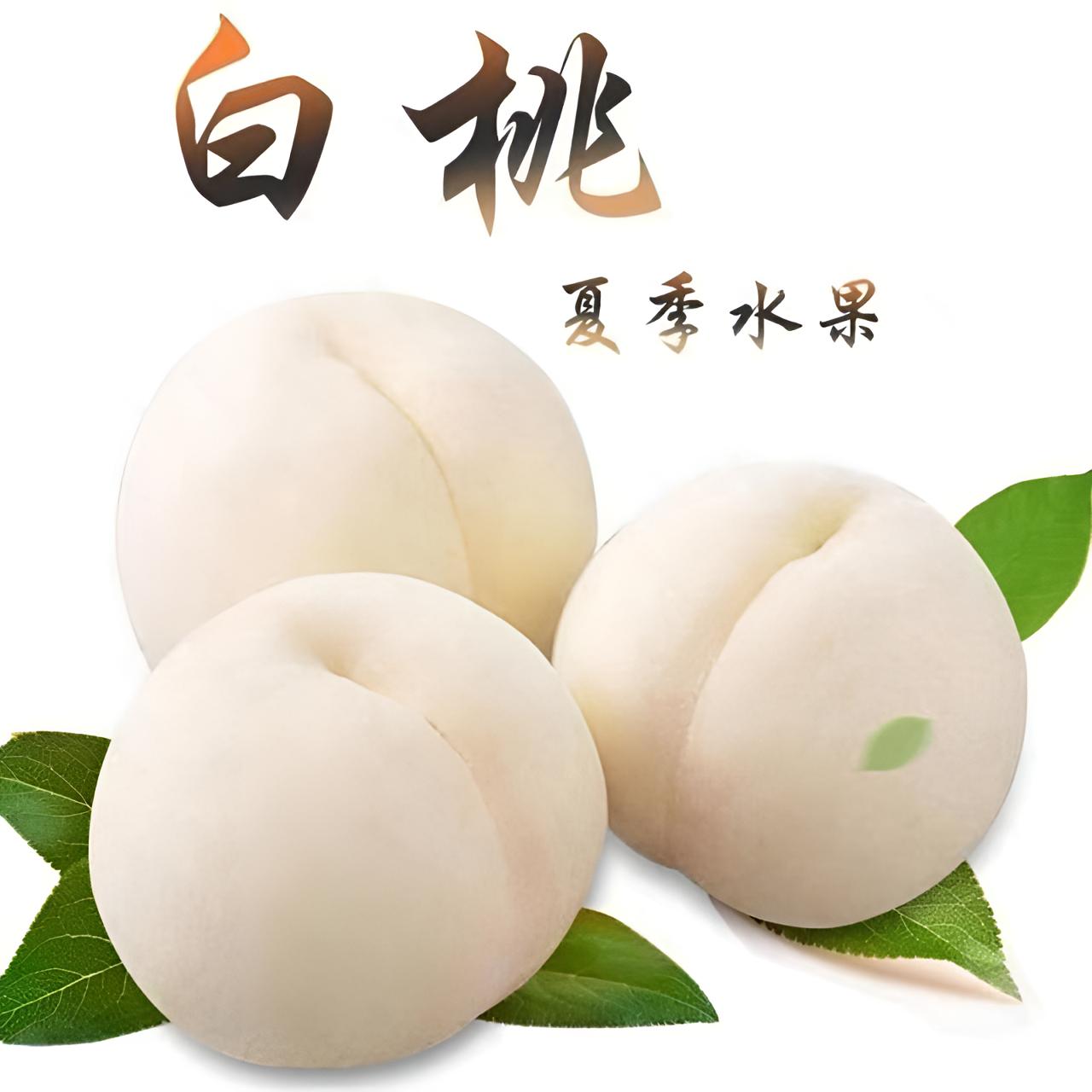 【现摘现发】奶油大白桃脆甜当季桃子整箱毛桃新鲜山东白桃蒙阴脆桃