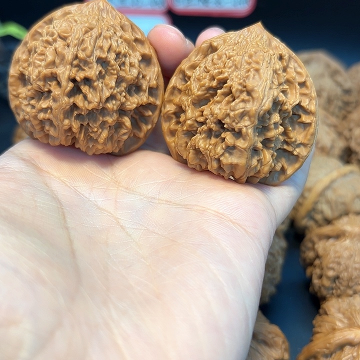 44满天星狮子头有修