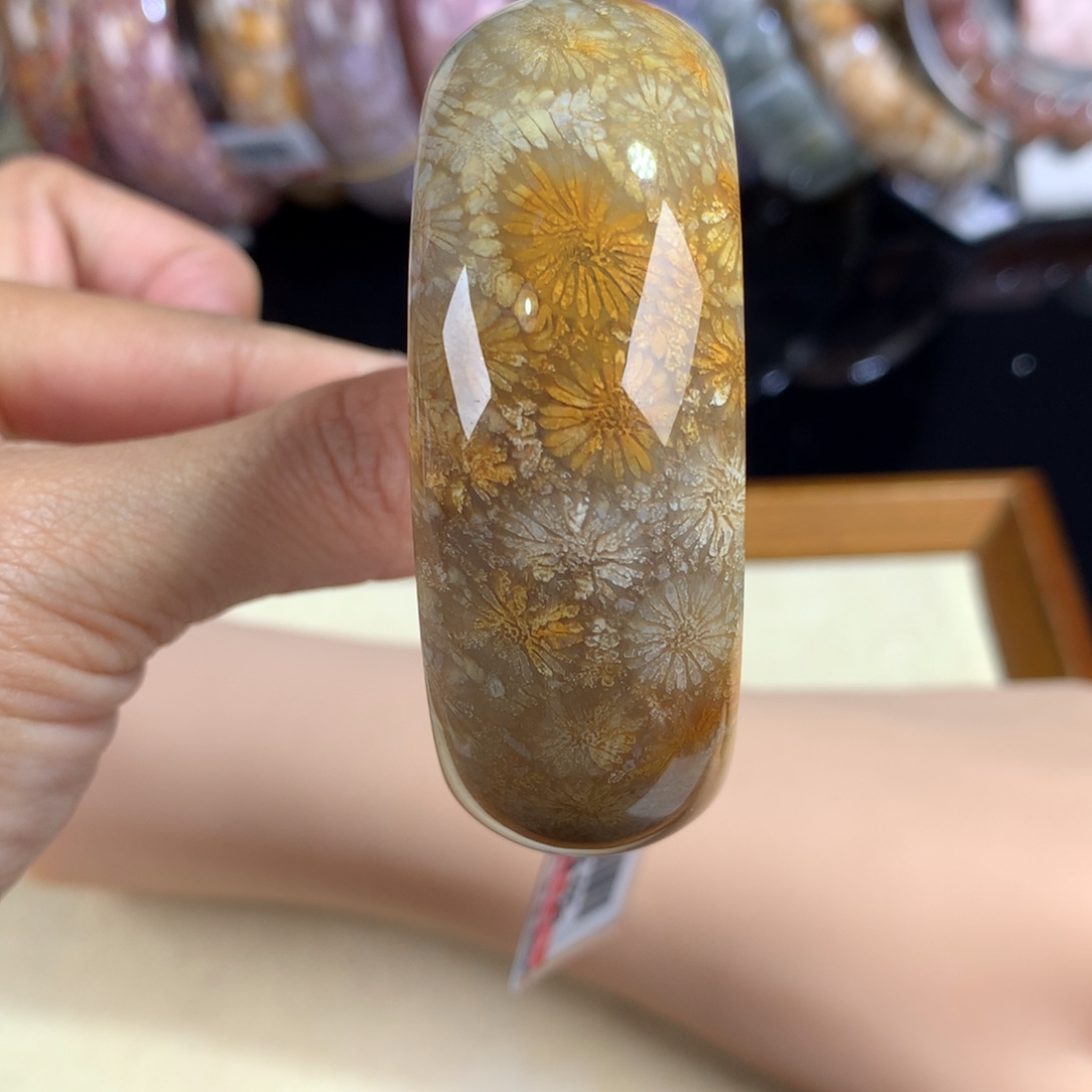 硅化珊瑚（珊瑚玉）未镶嵌吊坠(赠链)18号53圈口