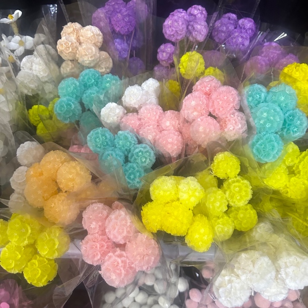 风车果松虫果永生花花束可用于家居装饰DIY花艺插花材料