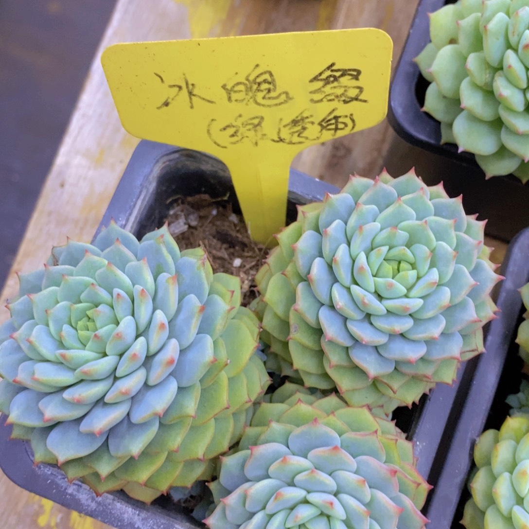 不保证整散，介意勿拍，不包售后