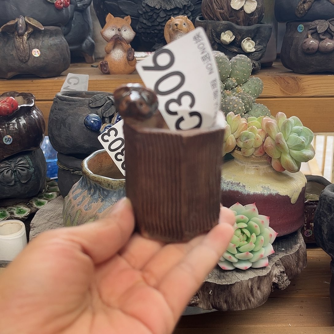 好的人也可以一起306