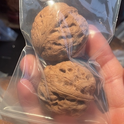 奔***果把件文玩核桃牡丹纹带彩38