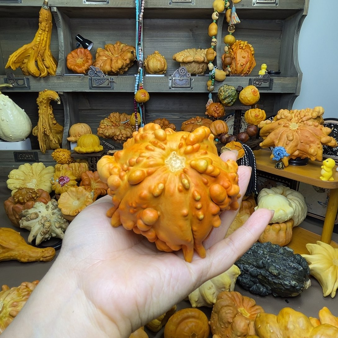 K***a葫芦瑕疵白菜 开播福利