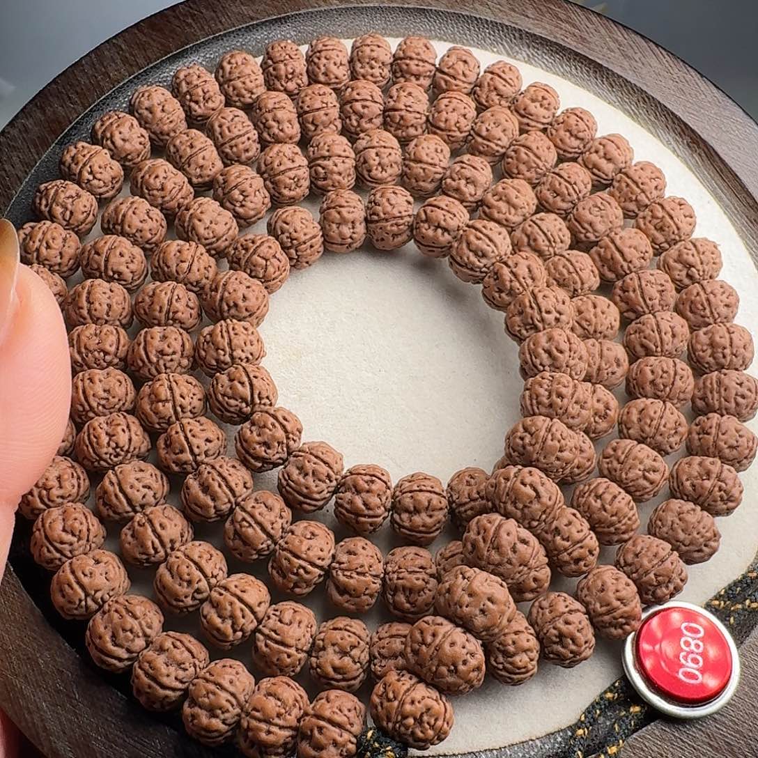 大***米菩提籽类108老树王