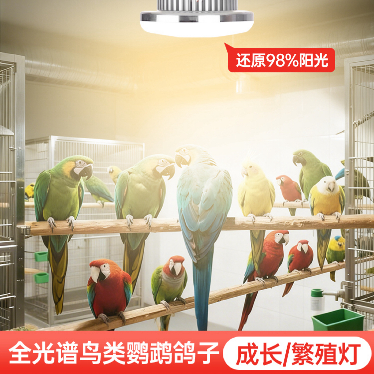 【聚鹦堂】鹦鹉LED全光谱灯繁殖灯uvb补钙灯宠物养殖场专用生长灯