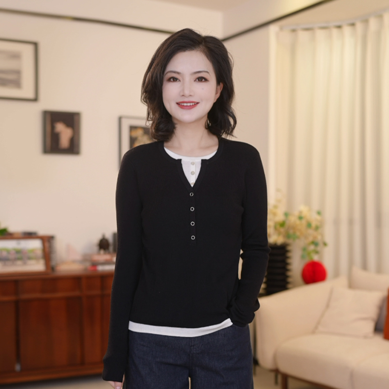  枫竺女装阿楠anan绵羊毛拼接假两件百搭打底针织衫女春休闲上衣