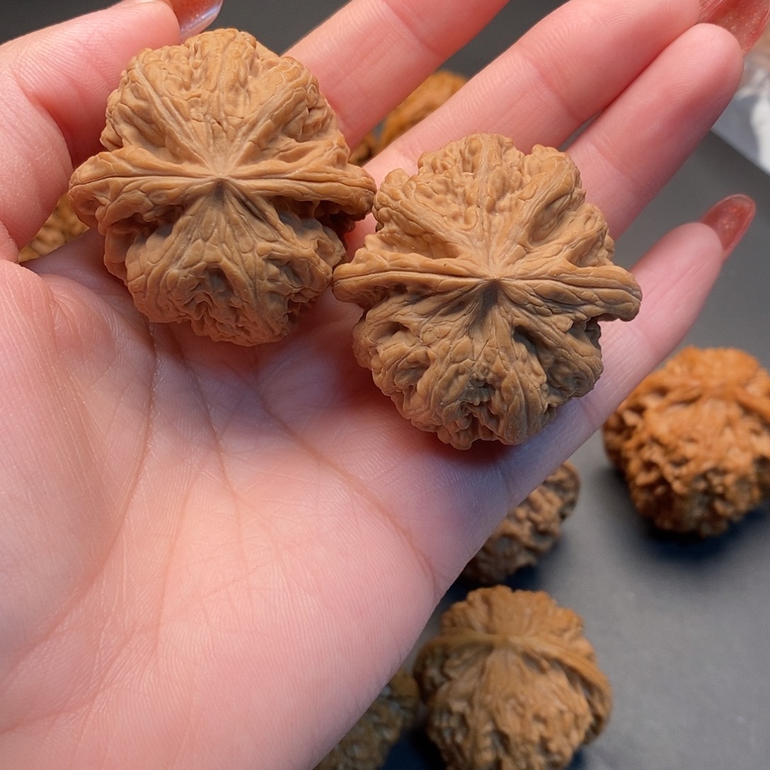 鸢***阙把件桃核毕业对大粗筋