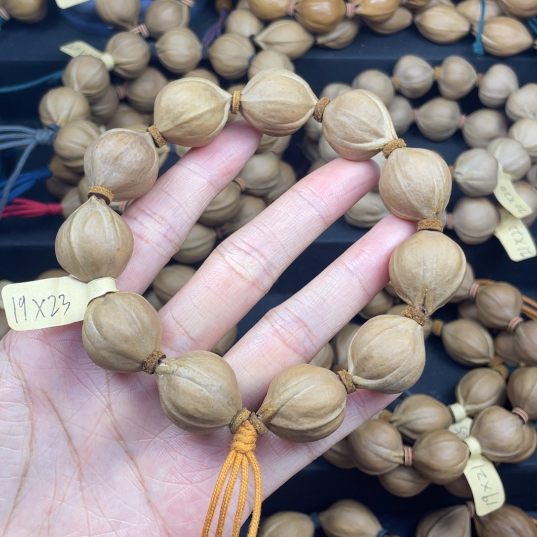 好***莲003橄榄核三花19*23