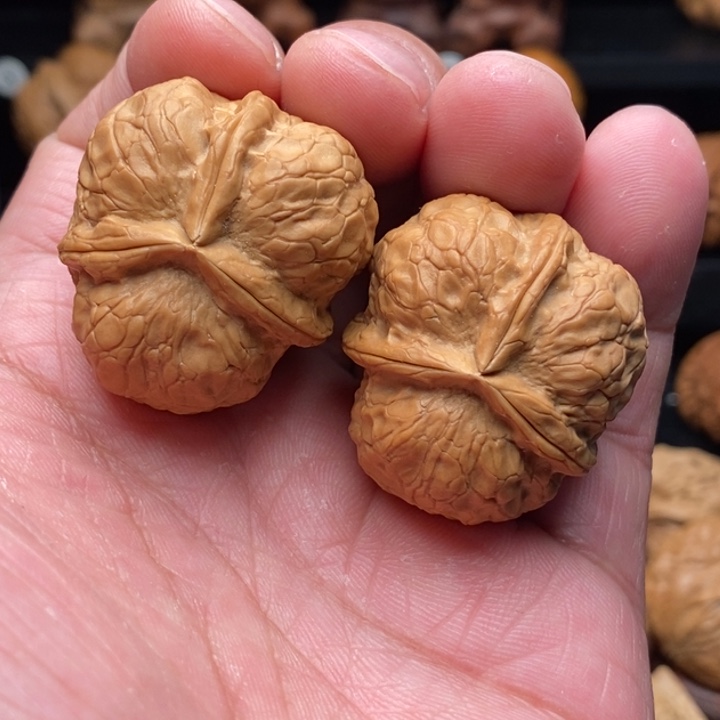 文玩核桃把件5开播福利36尺