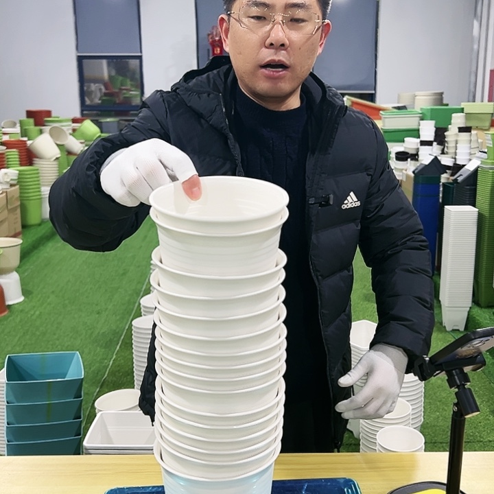 正品矮陶口15高11白色10只无托