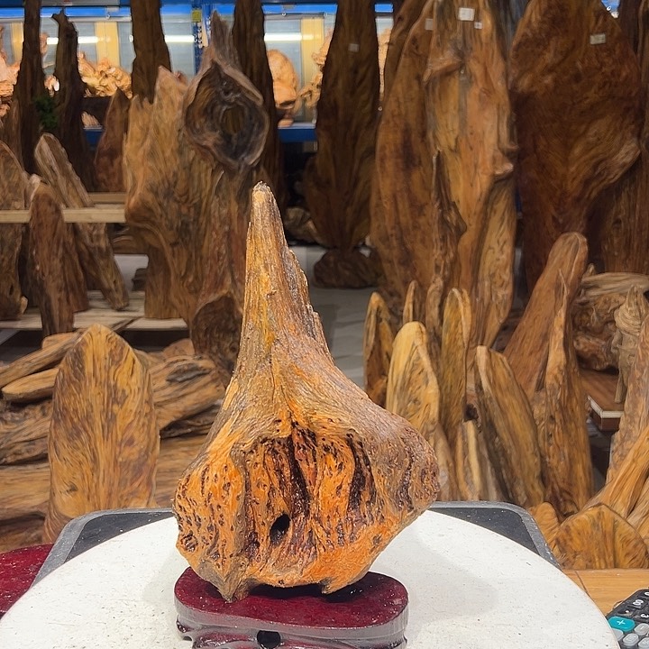 松木（琥珀木）都*