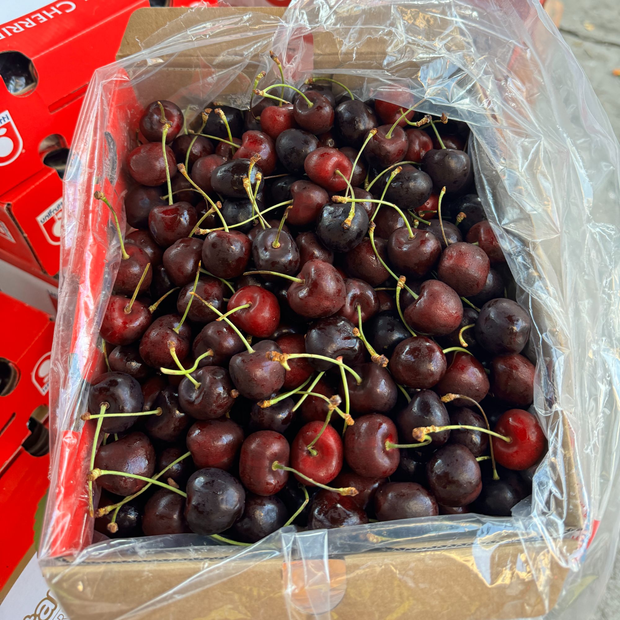 智利2JD车厘子138元/盒，(净重2000g)，包配送，包售后