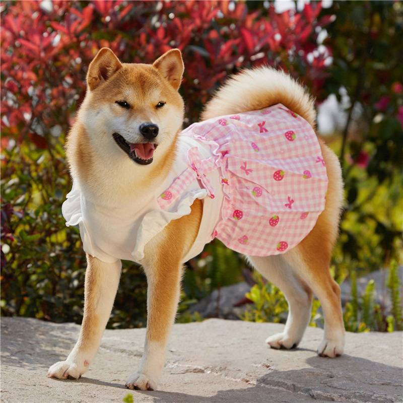 纯棉宠物草莓连衣裙子全棉猫咪狗狗中小型犬柯基法斗柴犬泰迪衣服
