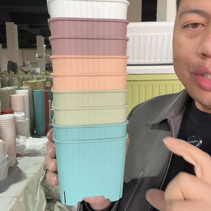 10方混色10个无托盘