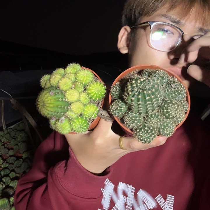 用***4无花朵丽花哈哈哈哈哈哈哈