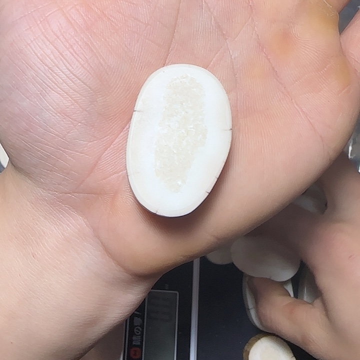 木质类海胖饼子一块