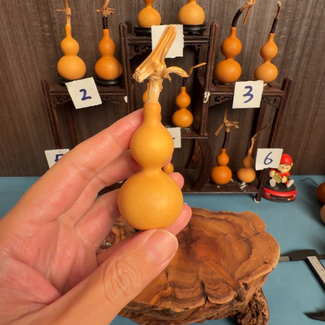 当虹葫芦八宝葫芦天津嘴