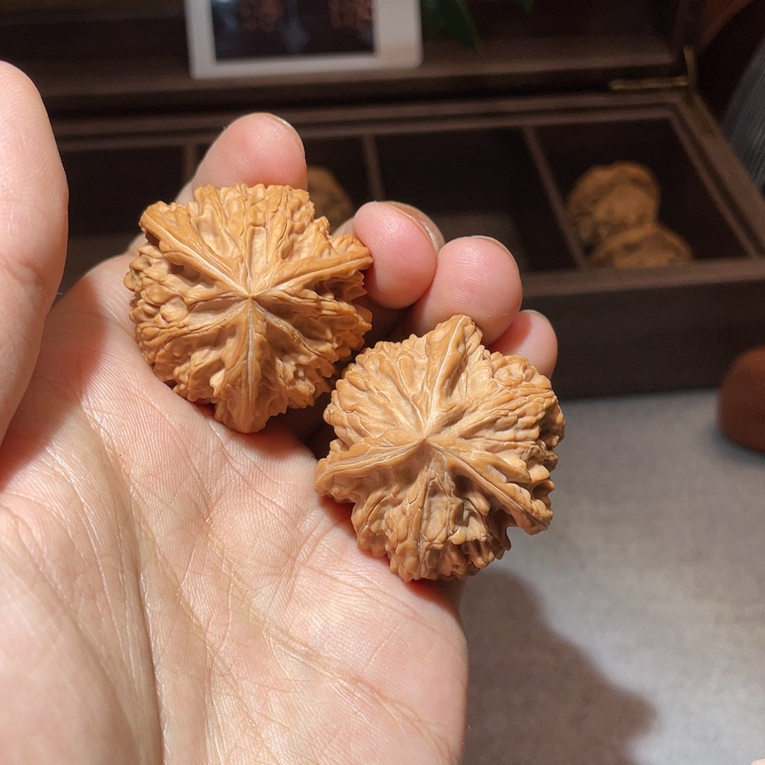 文玩核桃吊坠菲*文山