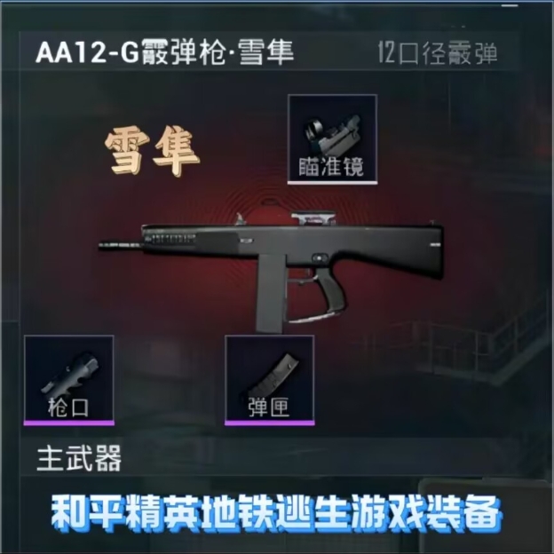 和平精英地铁逃生雪隼游戏装备AA12-雪隼装备