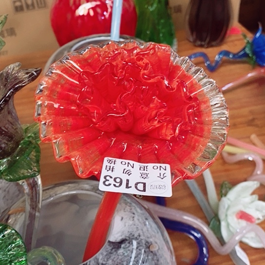 琉璃甜**奶夜光花高45厘米