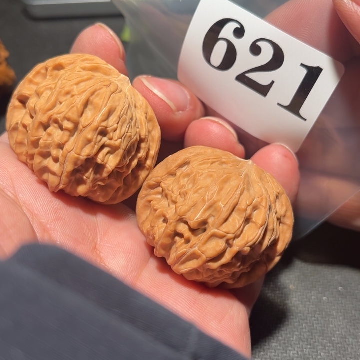 核桃111111111111111