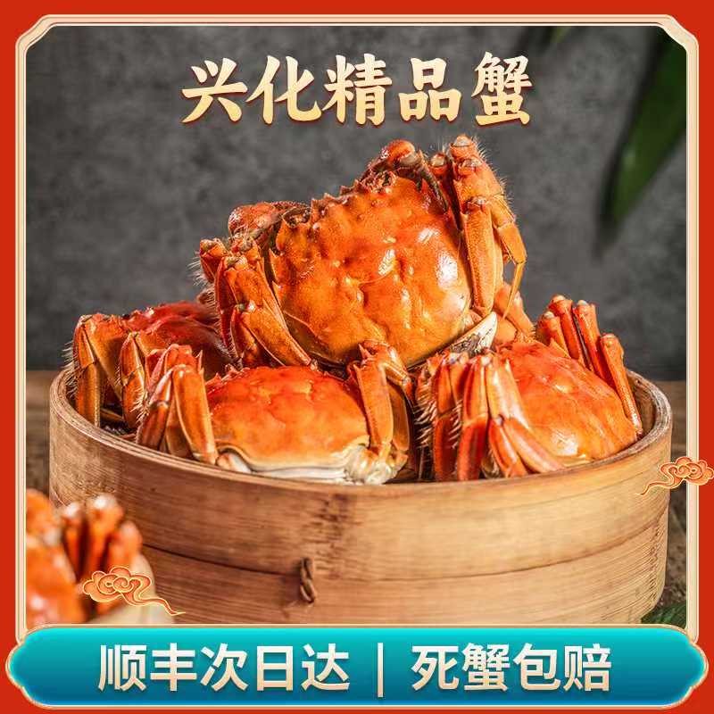 【活蟹】江苏大闸蟹全母现发4两8只/10只装顺丰空运次日达