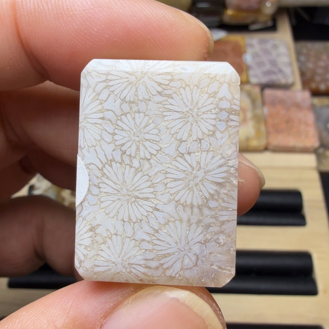 硅化玉未镶嵌纯天然色有机玉石保真色