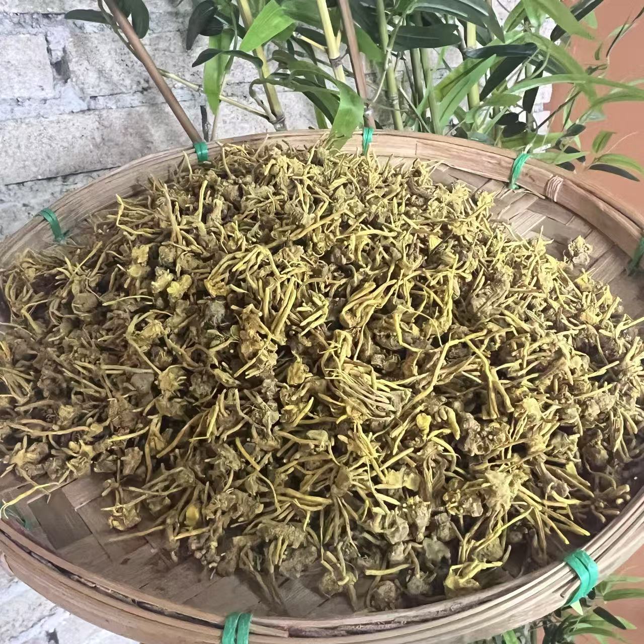 1【龙-须-石-斛-菇】净含量500g-1000g】【金金现收】