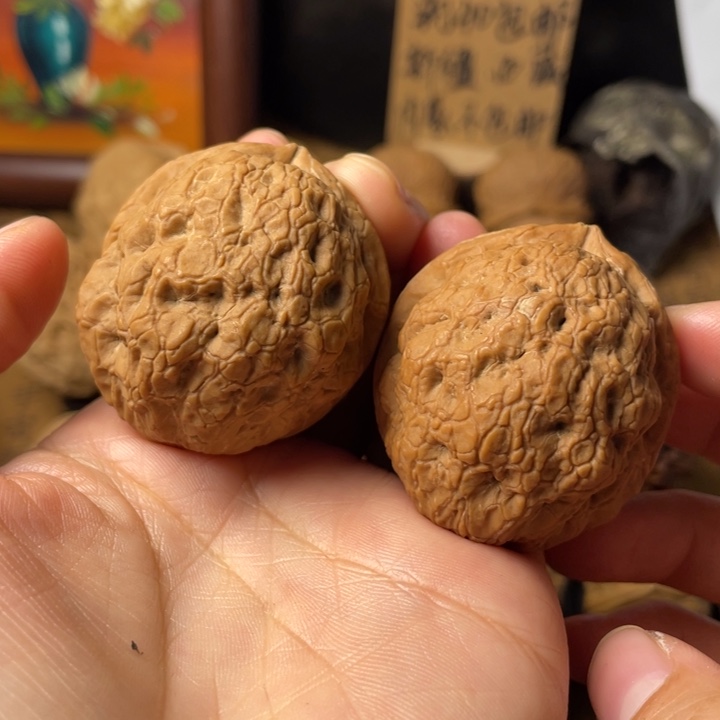 猫***呀云南野生铁核桃编号66
