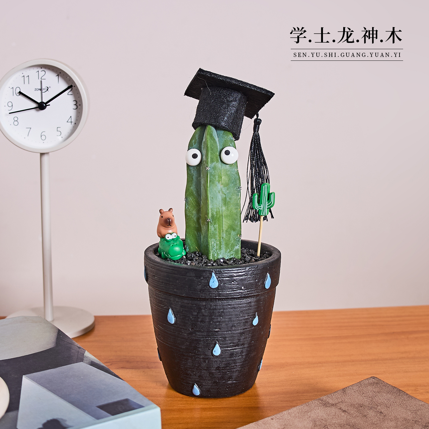 龙神木迷你仙人柱掌植物不开花室内仙人掌多肉绿植花卉盆栽防辐射