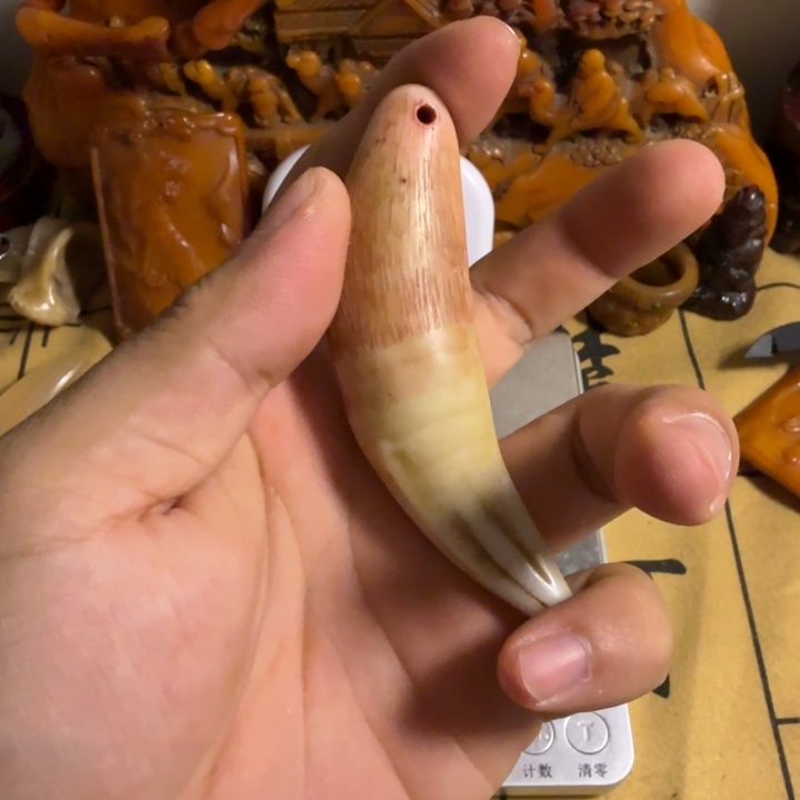 珍藏收藏专拍链接 