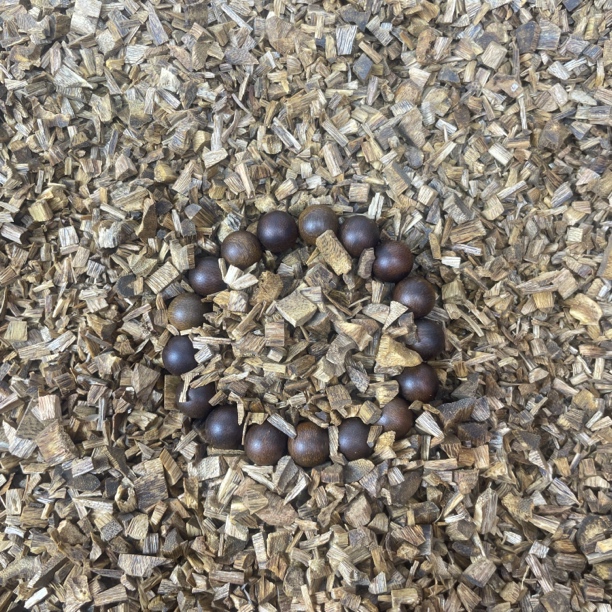 沉香沉香沉香赖氏文玩82